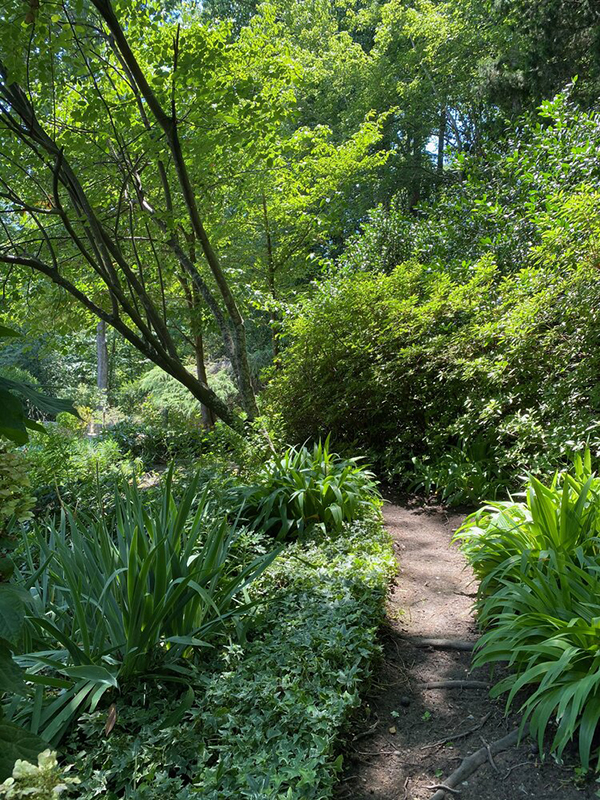 landscaping-company-apex-nc-600